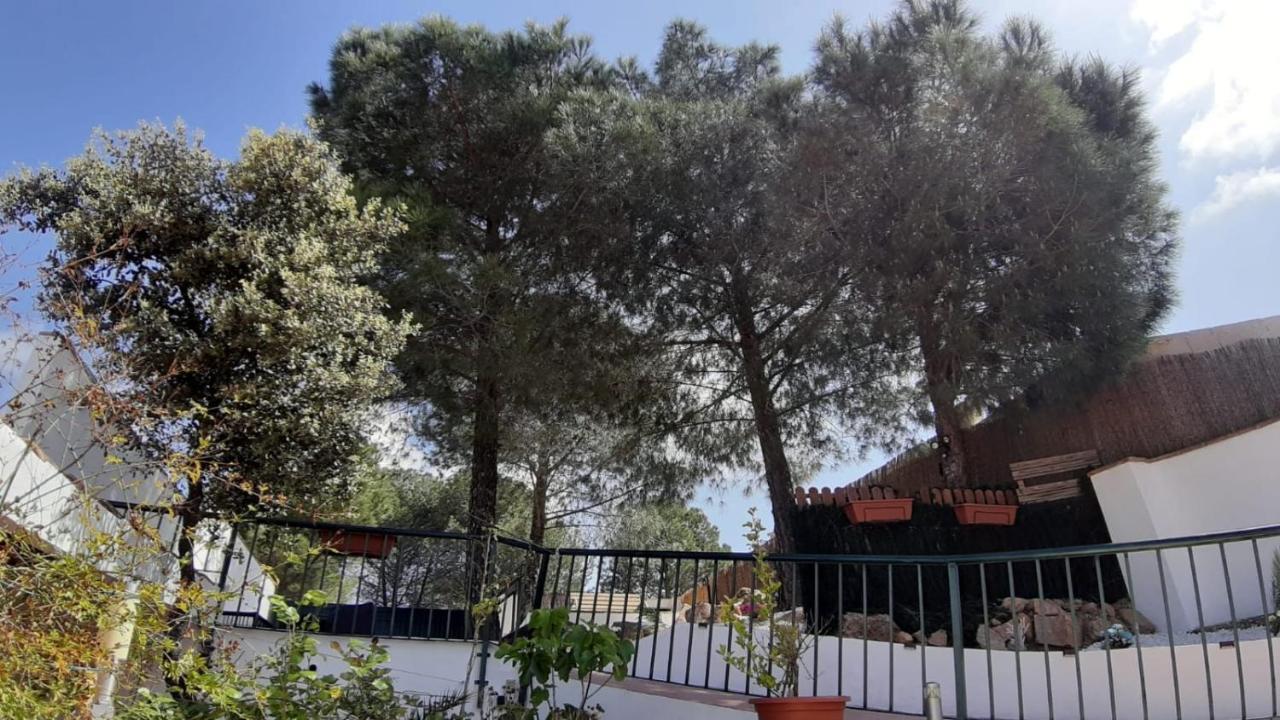 El Pinar Del Coto Villa Cordoba Exterior photo